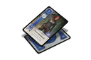 Gwent - EN